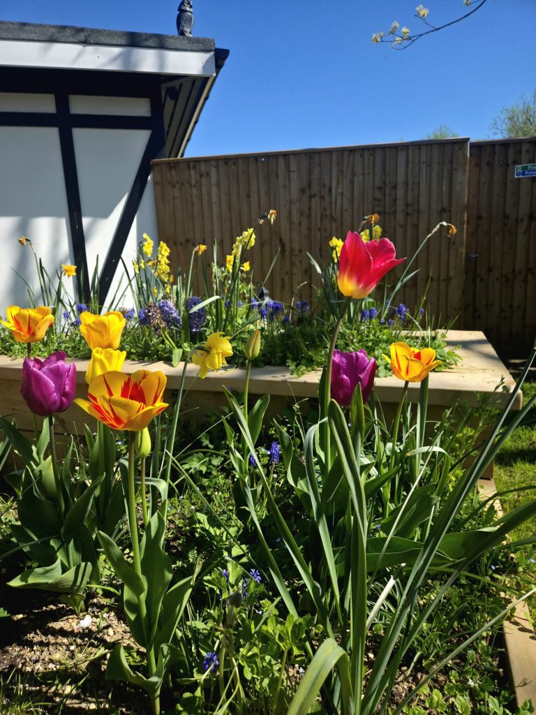 blooming flowers at innsworth preschool